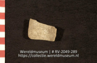 Schelp (Collectie Wereldmuseum, RV-2049-289)
