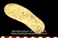 Werktuig van schelp (Collectie Wereldmuseum, RV-2049-349)