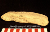 Werktuig van schelp (Collectie Wereldmuseum, RV-2049-351)