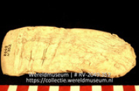 Werktuig van schelp (Collectie Wereldmuseum, RV-2049-352)