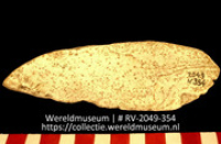 Werktuig van schelp (Collectie Wereldmuseum, RV-2049-354)