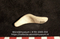 Schelp (Collectie Wereldmuseum, RV-2049-359)