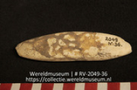 Werktuig van schelp (Collectie Wereldmuseum, RV-2049-36)
