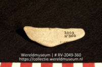 Schelp (Collectie Wereldmuseum, RV-2049-360)