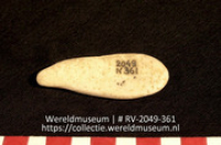 Schelp (Collectie Wereldmuseum, RV-2049-361)