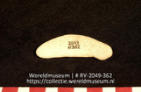 Schelp (Collectie Wereldmuseum, RV-2049-362)