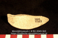 Werktuig van schelp (Collectie Wereldmuseum, RV-2049-363)