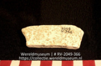 Schelp (Collectie Wereldmuseum, RV-2049-366)