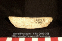 Schelp (Collectie Wereldmuseum, RV-2049-368)