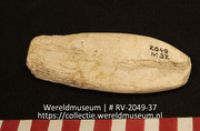 Werktuig van schelp (Collectie Wereldmuseum, RV-2049-37)