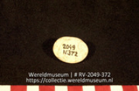 Schelp (Collectie Wereldmuseum, RV-2049-372)