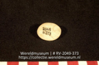Schelp (Collectie Wereldmuseum, RV-2049-373)