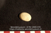 Koraal (Collectie Wereldmuseum, RV-2049-374)