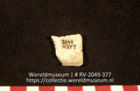 Schelp (Collectie Wereldmuseum, RV-2049-377)