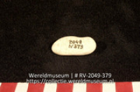 Schelp (Collectie Wereldmuseum, RV-2049-379)