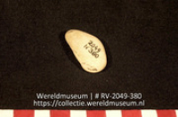 Schelp (Collectie Wereldmuseum, RV-2049-380)