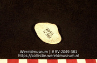 Schelp (Collectie Wereldmuseum, RV-2049-381)