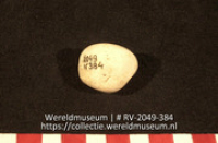 Schelp (Collectie Wereldmuseum, RV-2049-384)