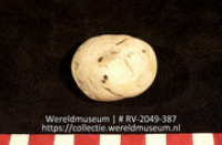 Zee-egel (fossiel) (Collectie Wereldmuseum, RV-2049-387)