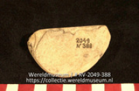 Schelp (Collectie Wereldmuseum, RV-2049-388)
