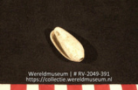 Kraal (Collectie Wereldmuseum, RV-2049-391)