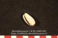 Kraal (Collectie Wereldmuseum, RV-2049-392)