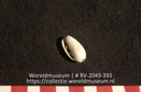 Kraal (Collectie Wereldmuseum, RV-2049-393)