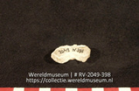 Haaientand (Collectie Wereldmuseum, RV-2049-398)