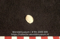 Koraal (Collectie Wereldmuseum, RV-2049-399)
