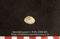 Schelp (Collectie Wereldmuseum, RV-2049-401)