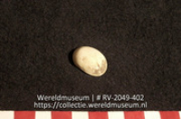 Koraal (Collectie Wereldmuseum, RV-2049-402)
