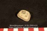 Schelp of koraal (Collectie Wereldmuseum, RV-2049-419)