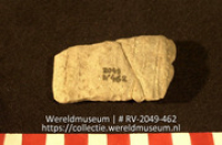 Schelp (Collectie Wereldmuseum, RV-2049-462)