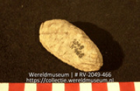 Steen (Collectie Wereldmuseum, RV-2049-466)