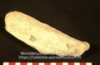 Werktuig van schelp (Collectie Wereldmuseum, RV-2049-555)