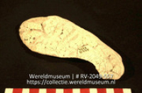 Werktuig van schelp (Collectie Wereldmuseum, RV-2049-557)