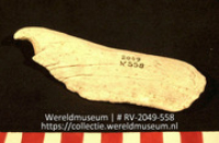 Werktuig van schelp (Collectie Wereldmuseum, RV-2049-558)