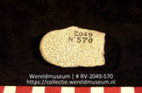 Koraal (Collectie Wereldmuseum, RV-2049-570)