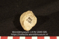 Schelp; Zemi?; Schelp (Collectie Wereldmuseum, RV-2049-585)