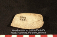 Schelp (Collectie Wereldmuseum, RV-2049-604)