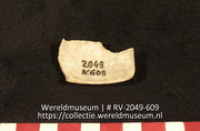 Schelp (Collectie Wereldmuseum, RV-2049-609)