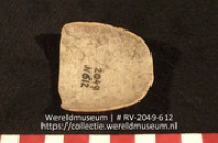 Schelp (Collectie Wereldmuseum, RV-2049-612)