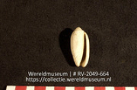 Kraal (Collectie Wereldmuseum, RV-2049-664)