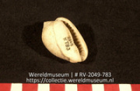 Kraal (Collectie Wereldmuseum, RV-2049-783)
