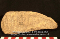 Werktuig van schelp (Collectie Wereldmuseum, RV-2049-852)