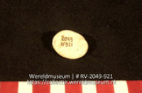 Schelp (Collectie Wereldmuseum, RV-2049-921)
