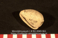 Kraal (Collectie Wereldmuseum, RV-2049-961)