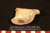Schelp (Collectie Wereldmuseum, RV-2049-963)