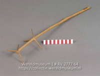 Stok met uitsteeksels (Collectie Wereldmuseum, RV-2777-64)