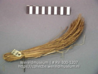 Bundel rijst (Collectie Wereldmuseum, RV-300-1207)
